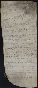 44 B.13.XLIVr, Investitura fatta da Ingone vescovo a favore di Domenico e Giovanni da Ulmido, Vignola, [1027-1029, ago. 22]